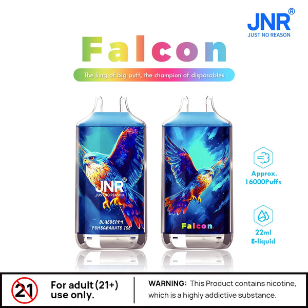 JNR Falcon X 18000 Disposable Vape Box of 10